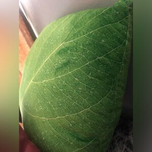 Realistic brand new leaf pillow  🍃